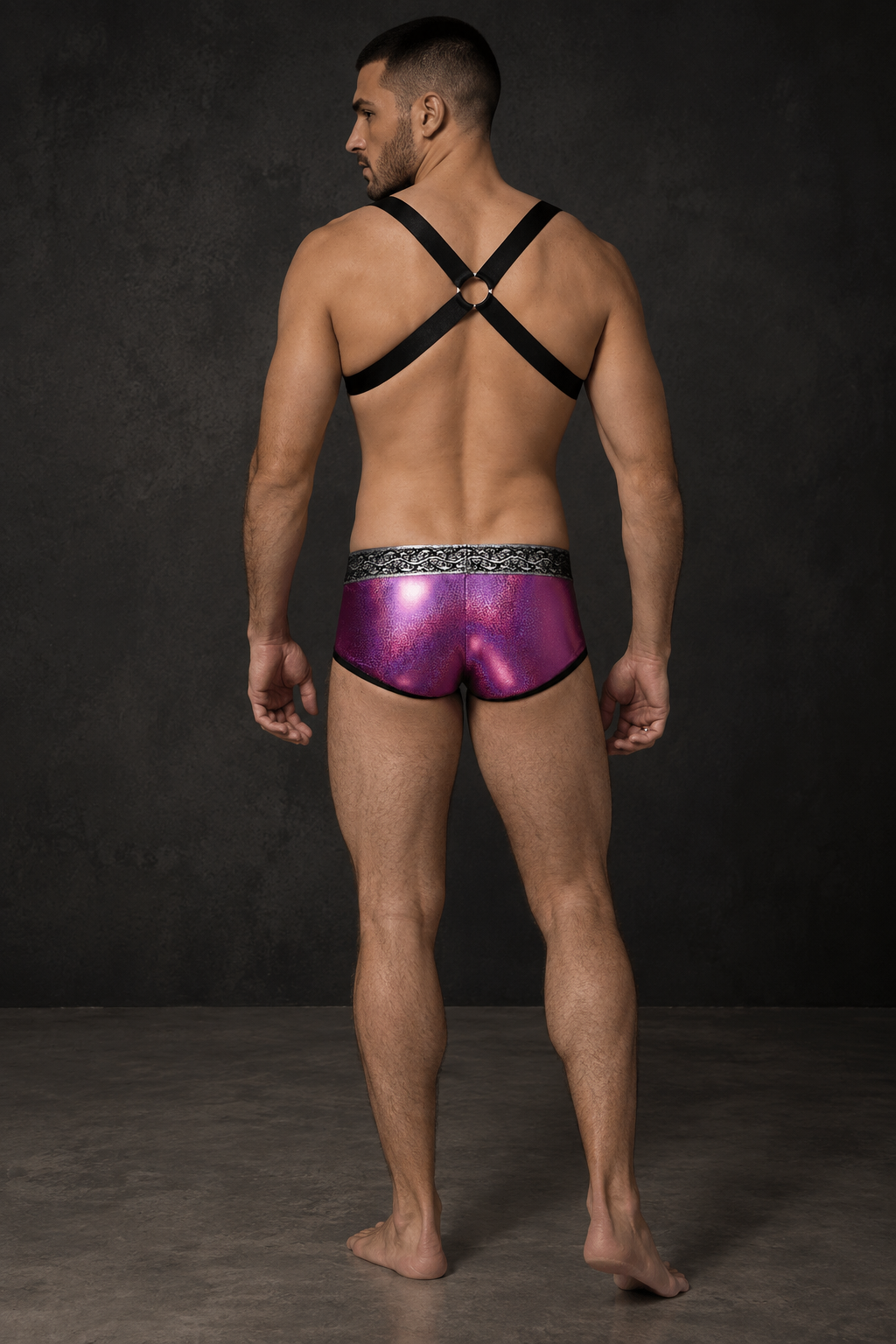 Metallic Men’s Brief & Harness Set
